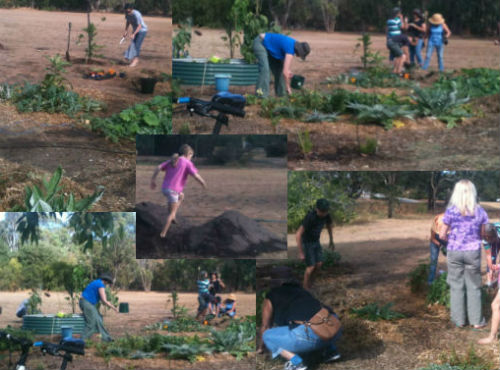 Gardening-23Mar2014-500x370