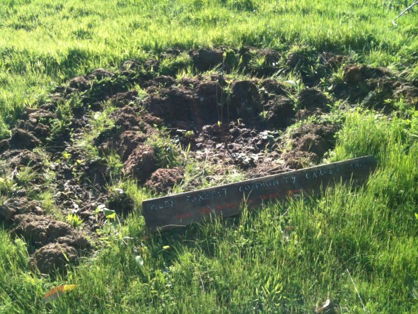 GFCG-FromLittleThings1