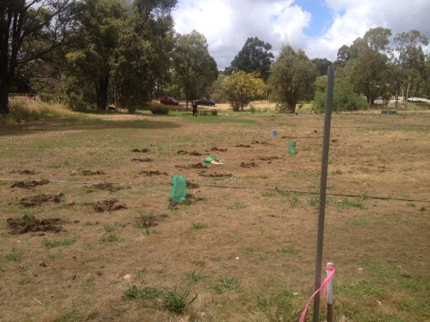GFCG-Planting2-Nov2013