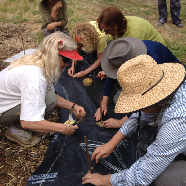 PlasticAroundPosts-s