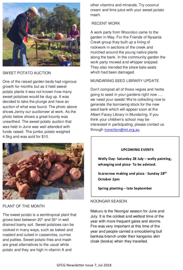 Running Postman No 7 pg2